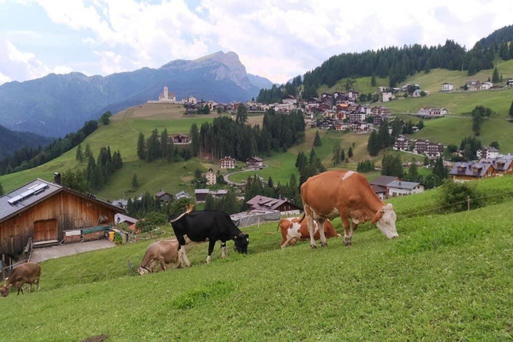 App. Monte Pore - Agriturismo La Majon Colle Santa Lucia Luaran gambar